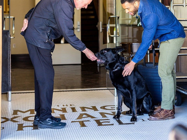 Guests at The Mining Exchange hotel entrance mosaic with gold metal lettering
