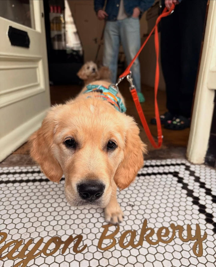 Bayon Bakery mosaic with shop dog, restaurant logo mosaic by Mosaic Lettering